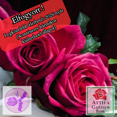 Johan Wolfgang Von Goethe ® Prémium