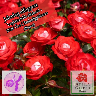 Planten un Blomen ®