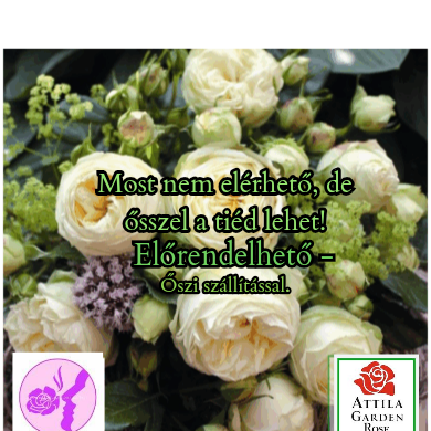 Piano Wedding ® Prémium