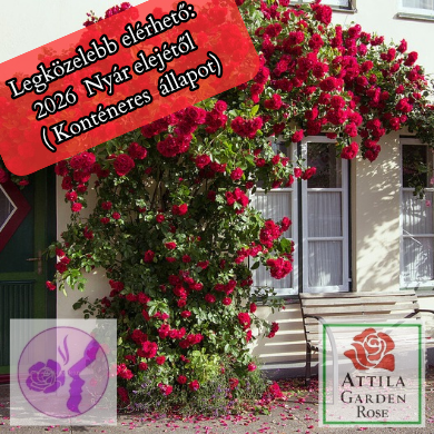 Climbing Kletter 17 Prémium Új!