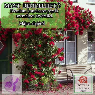 Climbing Kletter 17 Prémium Új!