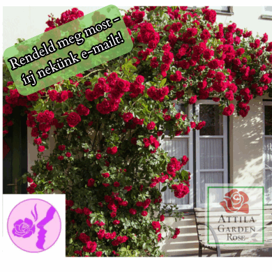 Climbing Kletter 17 Prémium Új!