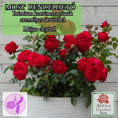 Till Eulenspiegel ® Prémium Új !