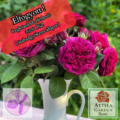 Deep Secret®  "2023-as Év Óta a Világon"