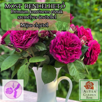 Deep Secret®  "2023-as Év Óta a Világon"